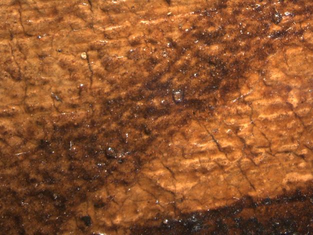 Painting. Detail view of a faded black line across a golden-brown painted surface.