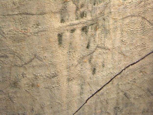 Painting. Detail view of bone-white paint mottled with some lighter areas.