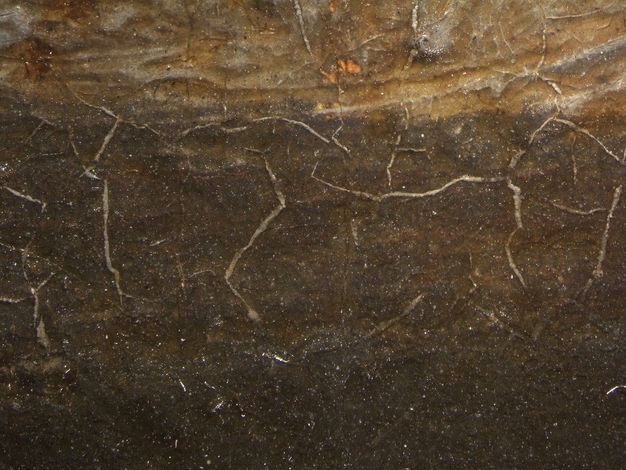 Painting. Detail view of white showing through cracks in a brown layer of paint.