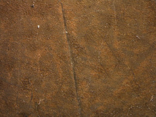 Painting. Detail view of a single long crack in a layer of leather-brown paint.